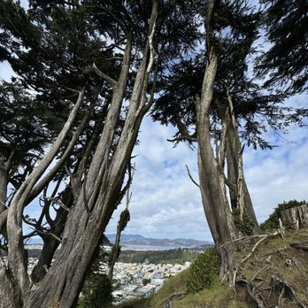 Grandview Park - Parks Near Me - San Francisco, California