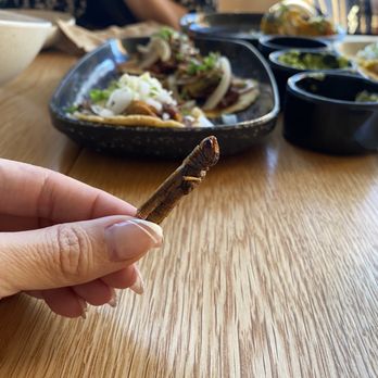 Estella - Crickets - Tacos Near Me - Reno, Nevada