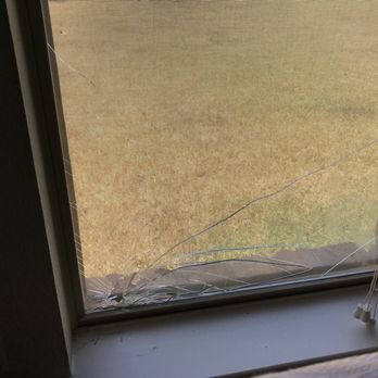 Bravo Company - Movers Near Me