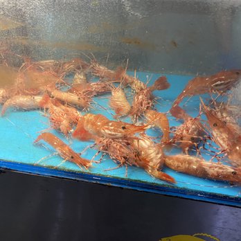 Star Kitchen - Live shrimp - Dim Sum Near Me - Denver, Colorado Star Kitchen - Live shrimp - Dim Sum Near Me - Denver, Colorado