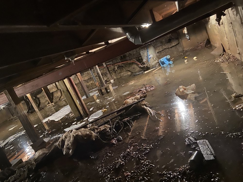 Slide of Drains R Us