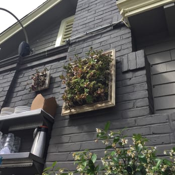 Cody's La Jolla - Plants on the wall- framed! - Breakfast & Brunch Near Me - La Jolla, California