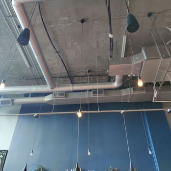 Idlewild - The ceiling - Cocktail Bars Near Me - Charlotte, North Carolina Idlewild - The ceiling - Cocktail Bars Near Me - Charlotte, North Carolina