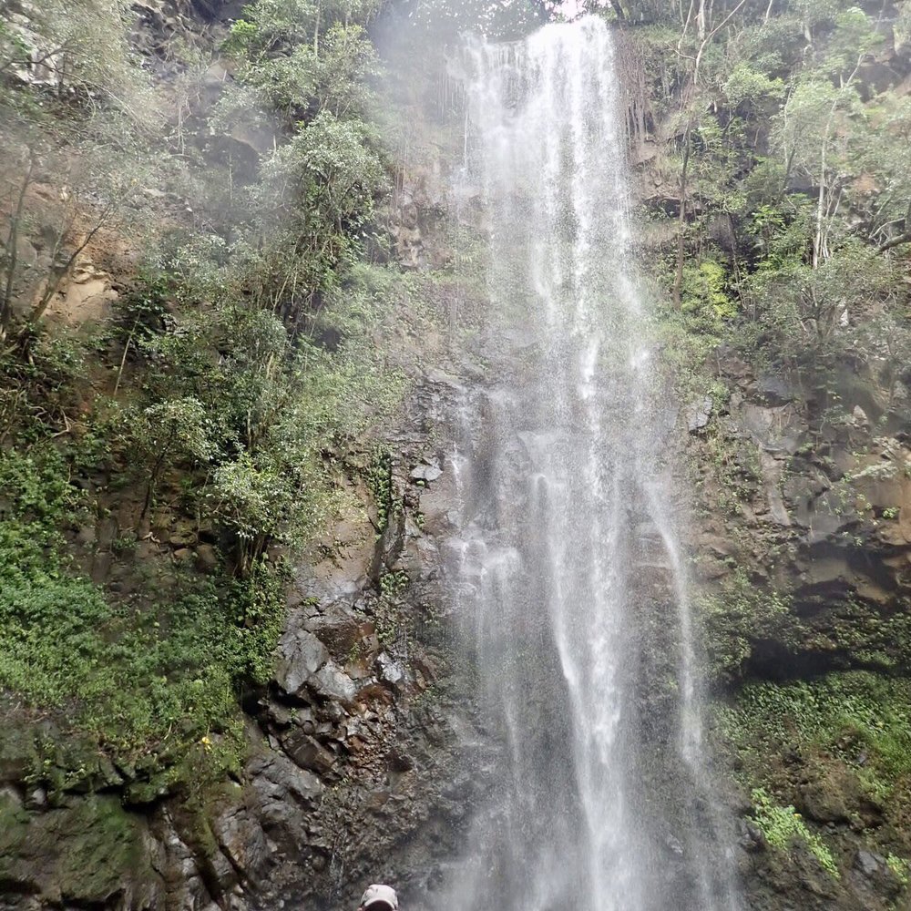 Kayak Wailua Tours - Tours Near Me - Kapaa, Hawaii