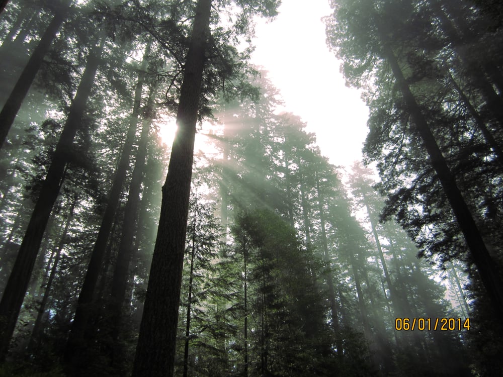 Slide of Big Tree Roofing and Inspections