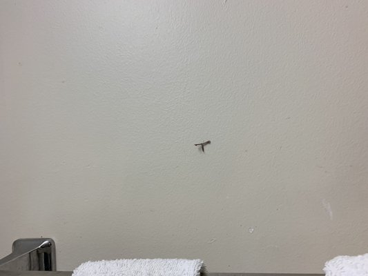 Humboldt Redwoods Inn by null