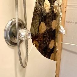 Restoration Clean - Shower pan leak
