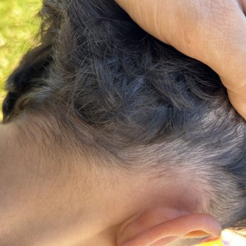 Salazis Hair Salon - No outline on the back or fade as I asked, you can see the long hairs too over his ears. - Hair Stylists Near Me - Riverside , California