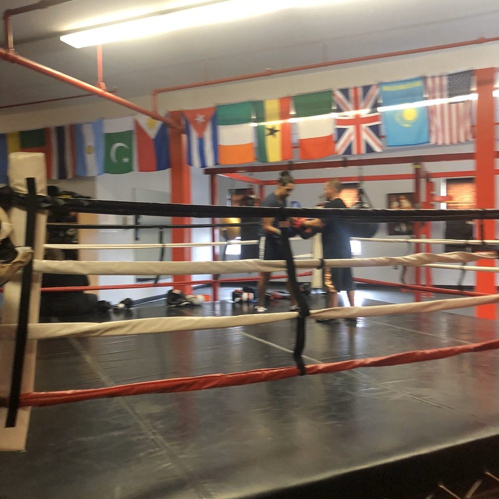 Boxingology - Interval Training Gyms Near Me - Mt Vernon, New York