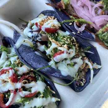 Taco Rock - loaded carnita and ahi tuna - Tacos Near Me - Alexandria, Virginia