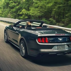 Avis Car Rental