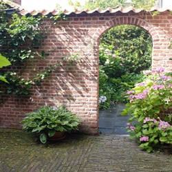Lerinckhuis - Garden.