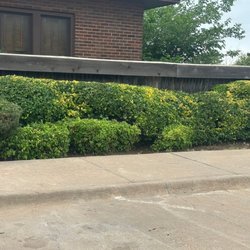 Willow B's Lawn and Treez