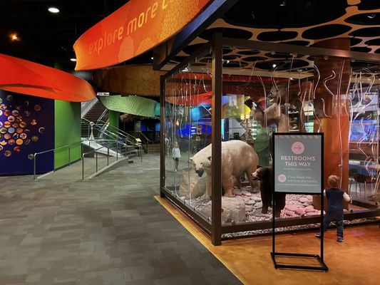 Discovery Place Science by null