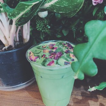 Coffee and Plants - Almond milk Matcha Latte - Coffee & Tea Near Me - Pasadena, California Coffee and Plants - Almond milk Matcha Latte - Coffee & Tea Near Me - Pasadena, California