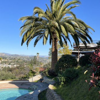 First Class Tree Service - After - Tree Services Near Me