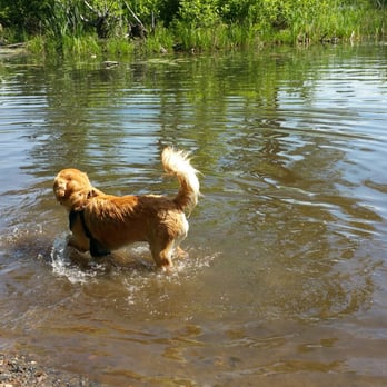 Cat Rock Park - Dog Parks Near Me - Weston, Massachusetts