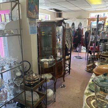 Caring About The Strays - Thrift Stores Near Me - Westwood, New Jersey Caring About The Strays - Thrift Stores Near Me - Westwood, New Jersey