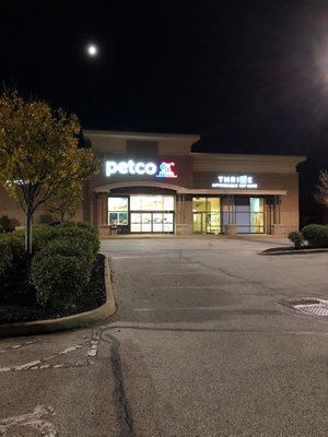 dog panting after exercise