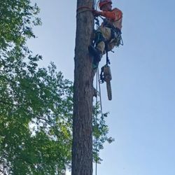 Clifton Maintenance and Consulting Service