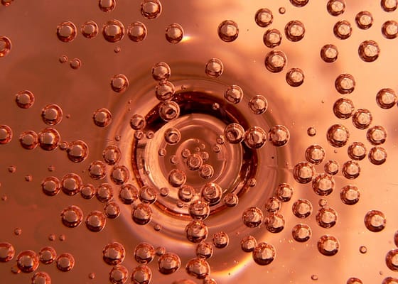 Scotto's Wine Cellar by null