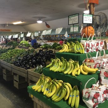 Lewin Farms - Pick Your Own Farms Near Me - Calverton, New York Lewin Farms - Pick Your Own Farms Near Me - Calverton, New York