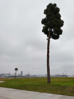 Harry Bridges Memorial Park by null