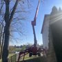 Airbourne Tree Service