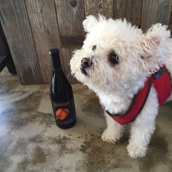 Bunter Spring Winery - Mattie digs herself some Bunter-Spring Pinot! - Wineries Near Me - Carmel Valley, California Bunter Spring Winery - Mattie digs herself some Bunter-Spring Pinot! - Wineries Near Me - Carmel Valley, California
