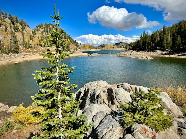 Twin Lakes Pass Logo