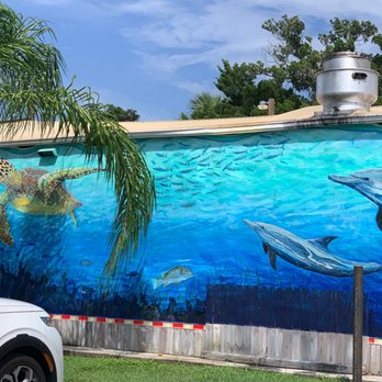 Silver Dolphin - American Near Me - Hernando Beach, Florida
