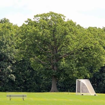 Sandra Richardson Park - Soccer fields. Also notice the HUGE oak tree. - Parks Near Me - Milan, Michigan Sandra Richardson Park - Soccer fields. Also notice the HUGE oak tree. - Parks Near Me - Milan, Michigan