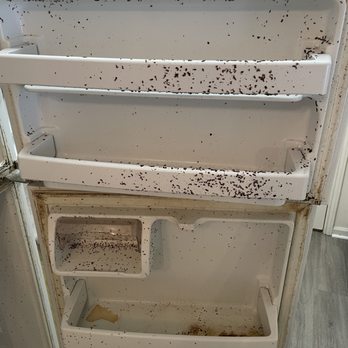 Lawson Cleans - Infested - Office Cleaning Near Me