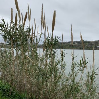 Lakeside Park - More river views - Parks Near Me - Marble Falls, Texas Lakeside Park - More river views - Parks Near Me - Marble Falls, Texas