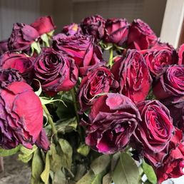 Sad sad roses after only a few days Sad sad roses after only a few days