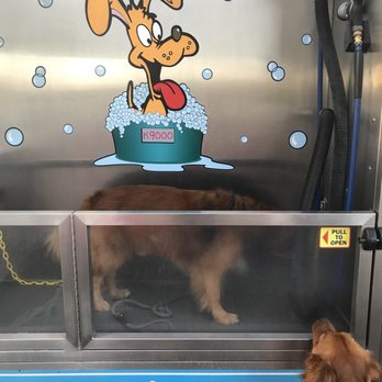 Sandy Paws Dog Wash - Pet Groomers Near Me - Huntington Beach, California Sandy Paws Dog Wash - Pet Groomers Near Me - Huntington Beach, California