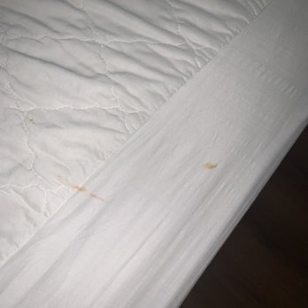 Motel 6 - Blood? Don't know but this is disgusting - Hotels Near Me - Las Cruces, New Mexico Motel 6 - Blood? Don't know but this is disgusting - Hotels Near Me - Las Cruces, New Mexico