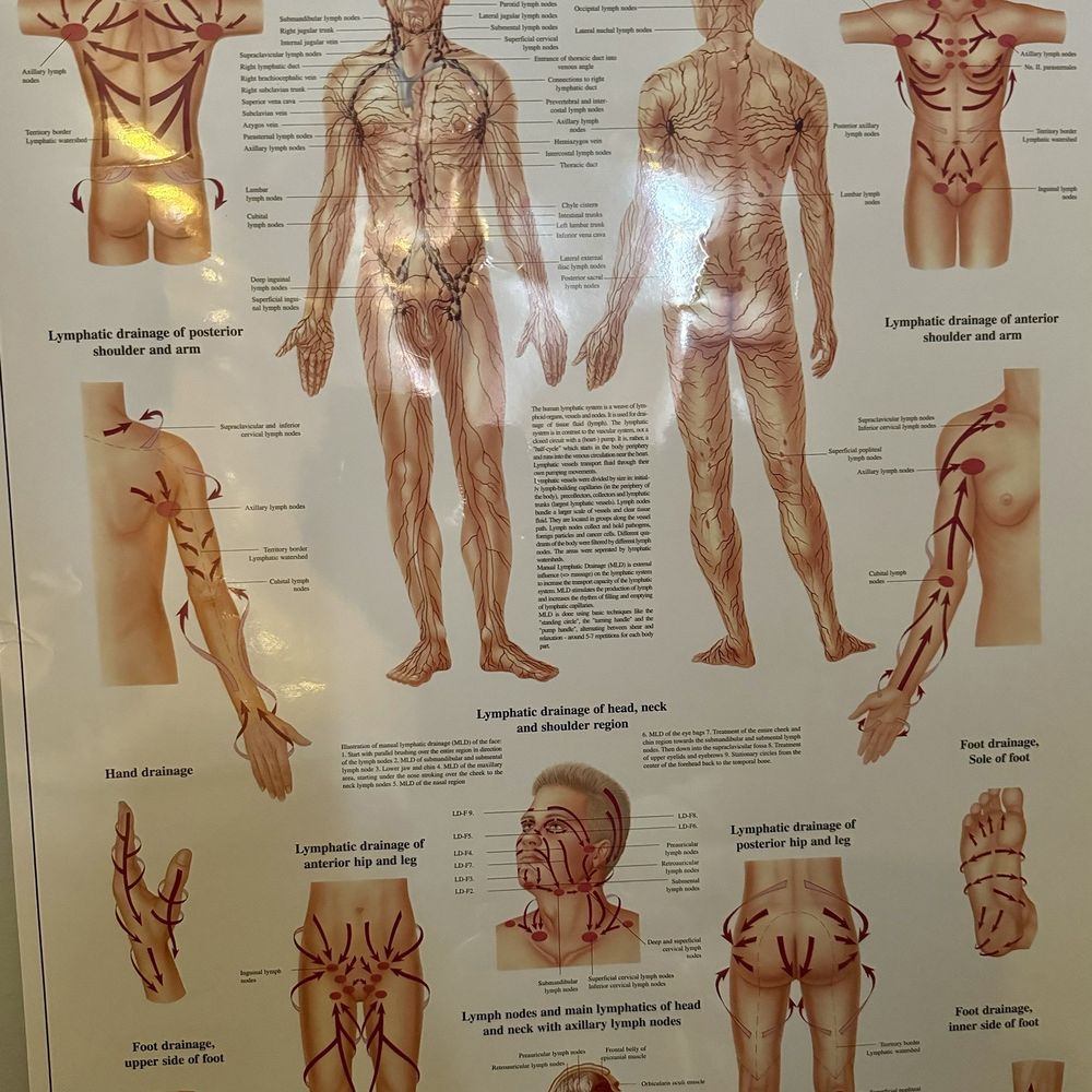 Holistic Bodywork and Wellness - The chart - Massage Near Me - Lansing, Illinois Holistic Bodywork and Wellness - The chart - Massage Near Me - Lansing, Illinois