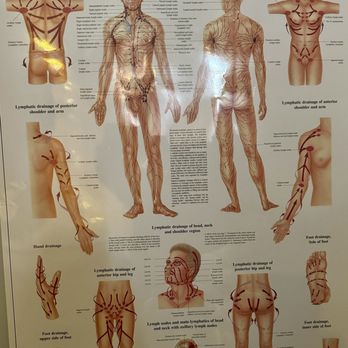 Holistic Bodywork and Wellness - The chart - Massage Near Me - Lansing, Illinois Holistic Bodywork and Wellness - The chart - Massage Near Me - Lansing, Illinois