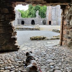 Huntly Castle