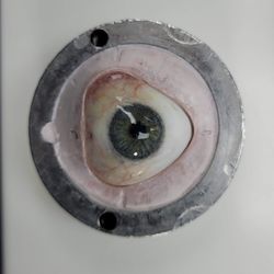 Eye Concern - Prosthetic eye in process