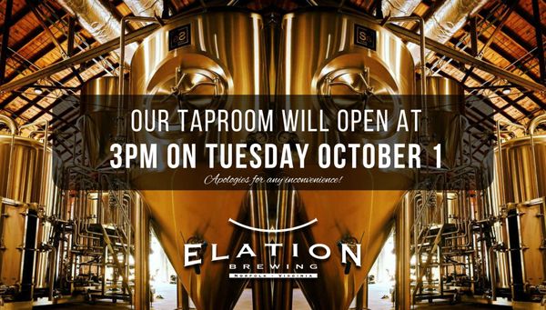 Elation Brewing by null