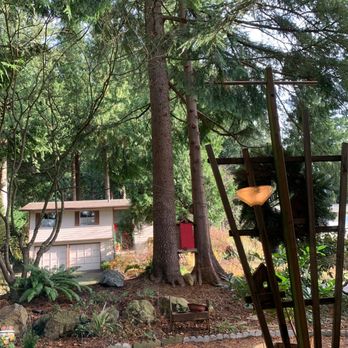 Royalty Tree Solutions - One of four sets of trees worked on - Tree Services Near Me - Auburn, Washington