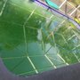 Photo of Rain Dance Pool, Spa & Sprinklers