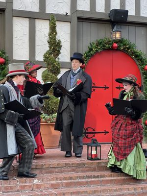 Busch Gardens Williamsburg by null