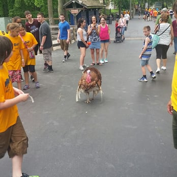 Cedar Point - A random-as-f*ck TURKEY roaming around the park. What the balls??? - Amusement Parks Near Me - Sandusky, Ohio