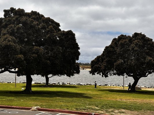 Superbloom Coffee & Juice by null