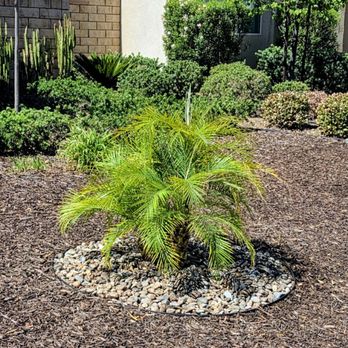Ruben's Tree Service - Tree Services Near Me Ruben's Tree Service - Tree Services Near Me
