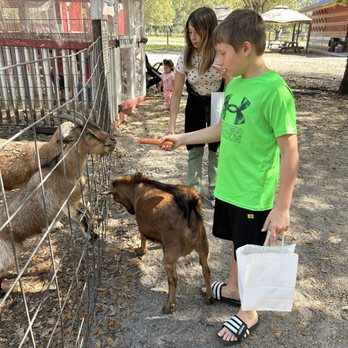 FAMILY FARM - Updated October 2024 - 304 Photos & 107 Reviews - 14950