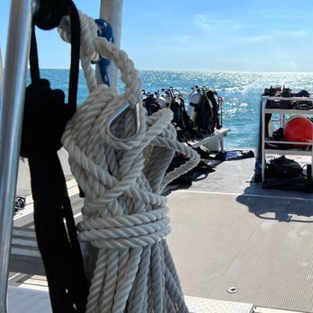 Ace Diving Miami - Scuba Diving Near Me - Miami, Florida Ace Diving Miami - Scuba Diving Near Me - Miami, Florida